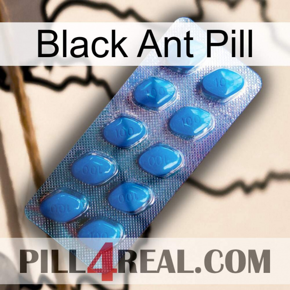 Black Ant Pill viagra1.jpg